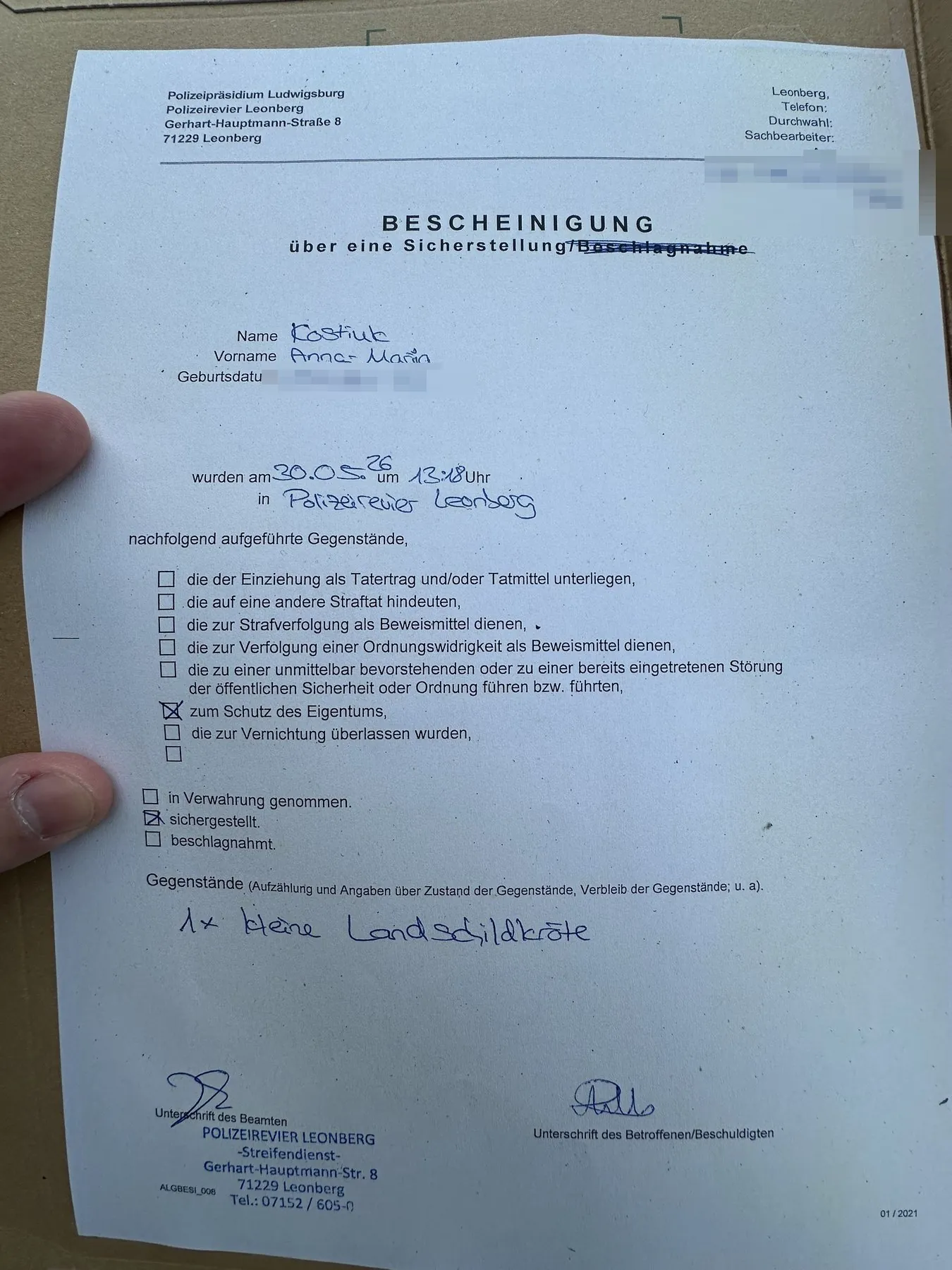 Sicherstellungsbescheinigung des Polizeireviers Leonberg für die kleine Landschildkröte